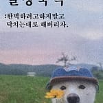 무관심과 무반응에도 해나가는 것