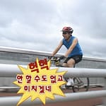 소설을 쓰다, 수집을 결심하다.